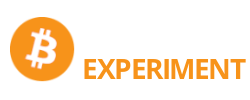 Das Bitcoin Experiment