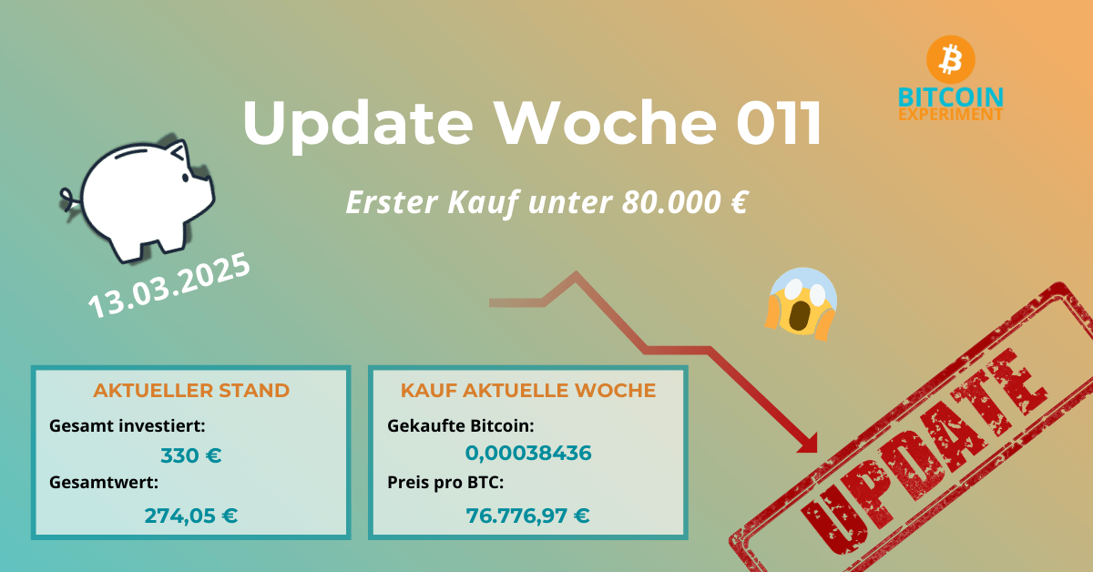 Bitcoin Experiment Sparplan Kauf Woche 011